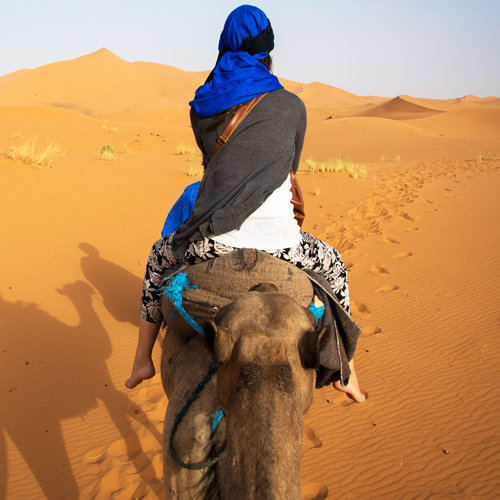 Camel Excursion in Merzouga