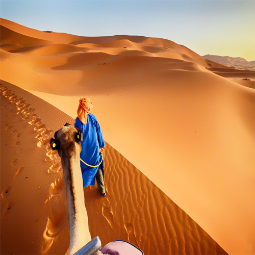 Merzouga Desert Morocco