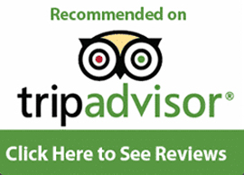 tripadvisor certificate