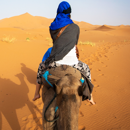 camel Trek excursion