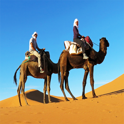 Merzouga camel riding
