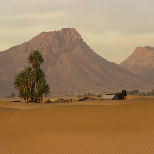 Zagora Sahara Desert