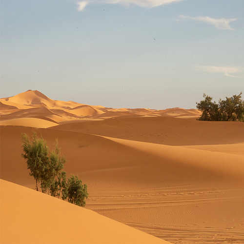 Merzouga Sahara Kasbah