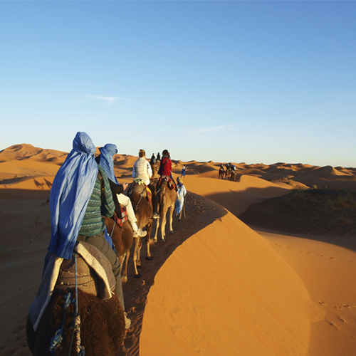 camel excursion Morocco