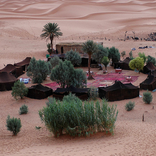 Desert Bivouac Morocco