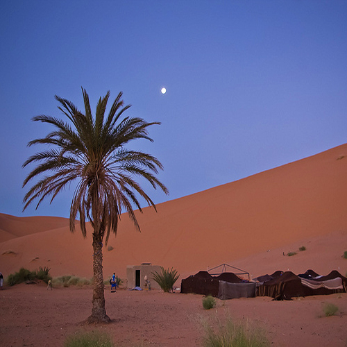 Desert Bivouac Morocco