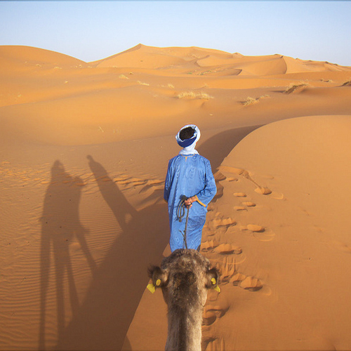 camel excursion Morocco
