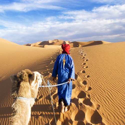 Merzouga local camel rides