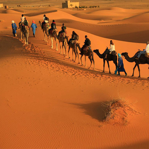 Camel trekking Morocco