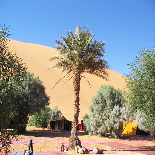 Desert camp Morocco