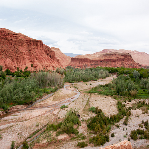 Roses Valley Morocco