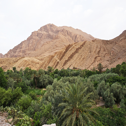 Todra Gorges Morocco